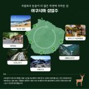 11.11~16(5일) 큐슈 야쿠시마 수령-7000년 죠몬스기 트레킹+섬일주 관광[대한항공] 이미지
