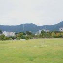 대성골든벨부동산공인중개사사무소 이미지