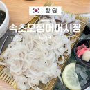 고인돌 사거리 | 창원상남동맛집 내돈내산 속초오징어어시장 상남점 신선한 오징어회, 오징어튀김 후기(메뉴판O)