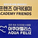 아쿠아펠리스 수영장 이미지