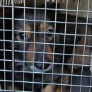 솔튼병원 이미지