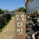 카페꽃다방 | 제주여행 카이막과 고양이가 있는 카페 소길다방 후기
