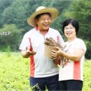 횡성인삼영농조합법인 이미지