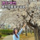 상동호수공원 | 부천 상동호수공원 벚꽃 실시간 명당 부천벚꽃 데이트