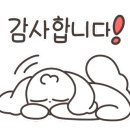 버니키스