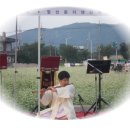 메밀꽃일다 이미지