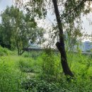 피영약국 이미지