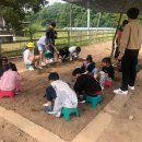 법천사지 유적전시관 이미지