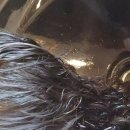 헤어자름 이미지