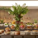 힐튼 가든 인 서울 강남 이미지