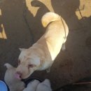 아성농장 이미지