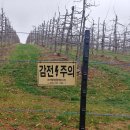 제장농장 이미지