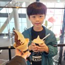 [ 서울 잠실 ] 서울스카이 + 아쿠아리움 패키지 이용후기(서울 스카이를 기준으로)