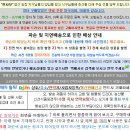 법인라비엘