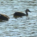 빛가람 호수공원 이미지