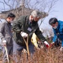 희망나무심기3 이미지