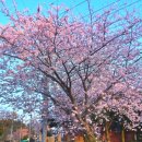 돌담이우다 펜션 이미지