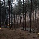 가평잣나무숲하우스 이미지