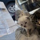 (주)소리안 이미지