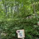 거제자연휴양림 | 거제자연휴양림🌳동백2실 후기(feat.가격,예약방법,이용팁)