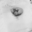 남창미르동물병원 이미지