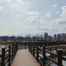 외입석 티스토리