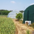 취평리 정류장 이미지