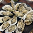 석화 티스토리