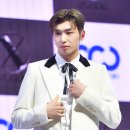 다빈(DaVin) 이미지