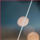 별빛과일 이미지