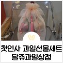 첫인사 선물, 달쥬과일상점 과일선물세트 후기