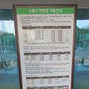 수원시연화장 장례식장 이용 후기입니다. 수원시연화장 장례식장에서 어머님을 모셔드리고 가족 선산에...