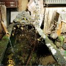 수목여관 이미지