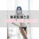 피트니스 갤러리 월곶점 이미지