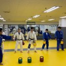 코리아 유도 체육관 이미지