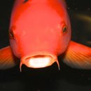 헤어아지트 이미지