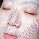 파파 이미지