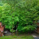 거제자연휴양림 이미지