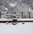 사과나무 펜션 이미지