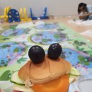 개구리화원 이미지