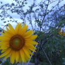 대원보건진료소 이미지