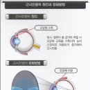 내 마음에 든 안경 이미지