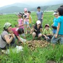 용오름작은도서관 이미지