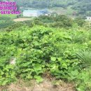 병목보건진료소 이미지