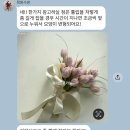 목화 | 제주 웨딩스냅 부케 목화수반 후기 (사색 스냅)