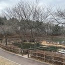 충주육전막국수 | 여주에서 충주가는법, 뚜벅이 당일치기 내돈내산