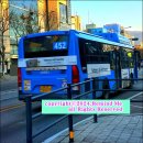 성남시 의료원입구 삼거리 이미지