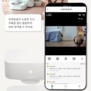 헤이멍 | 사료 끼임 해결? 부족 알림까지! 신형 스펙 싹 털어본 헤이홈 급식기 후기