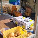 살미면사무소 이미지