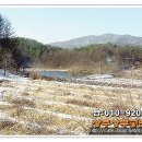 원룸박사부동산중개사사무소 이미지